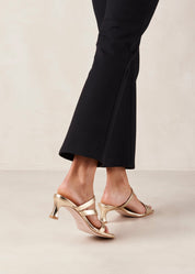 Stevie Heel