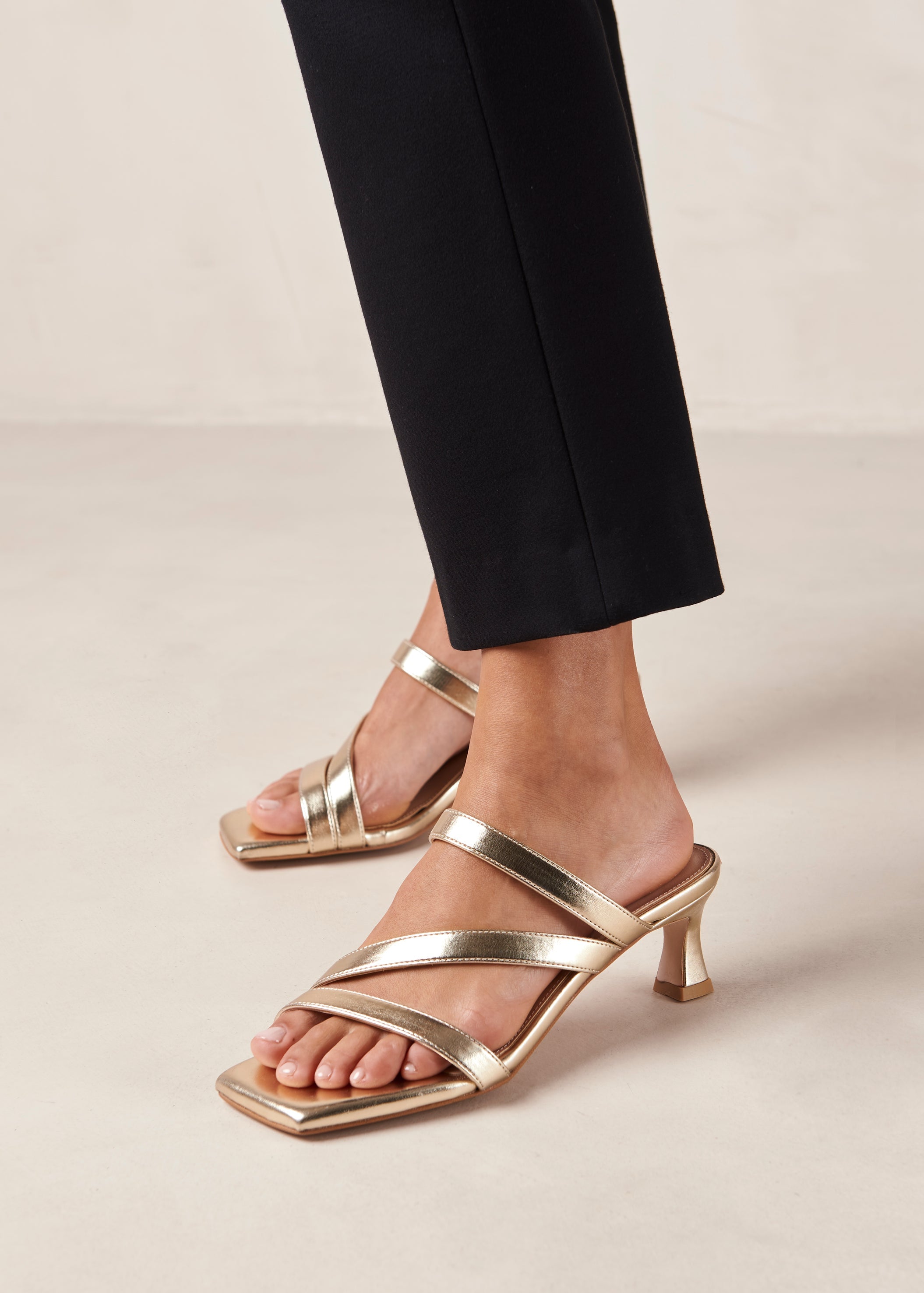 Stevie Heel