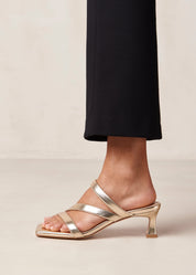 Stevie Heel