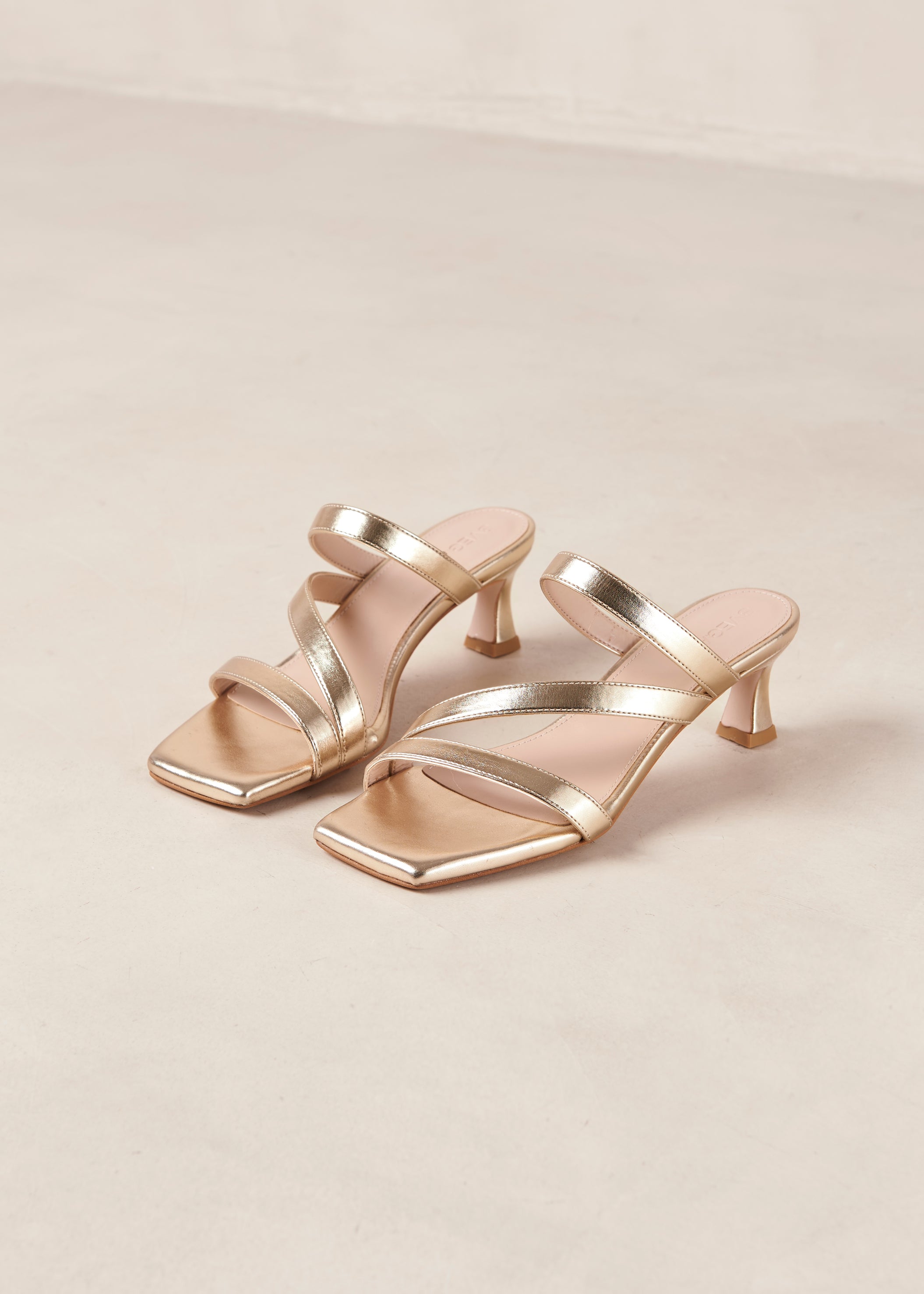 Stevie Heel