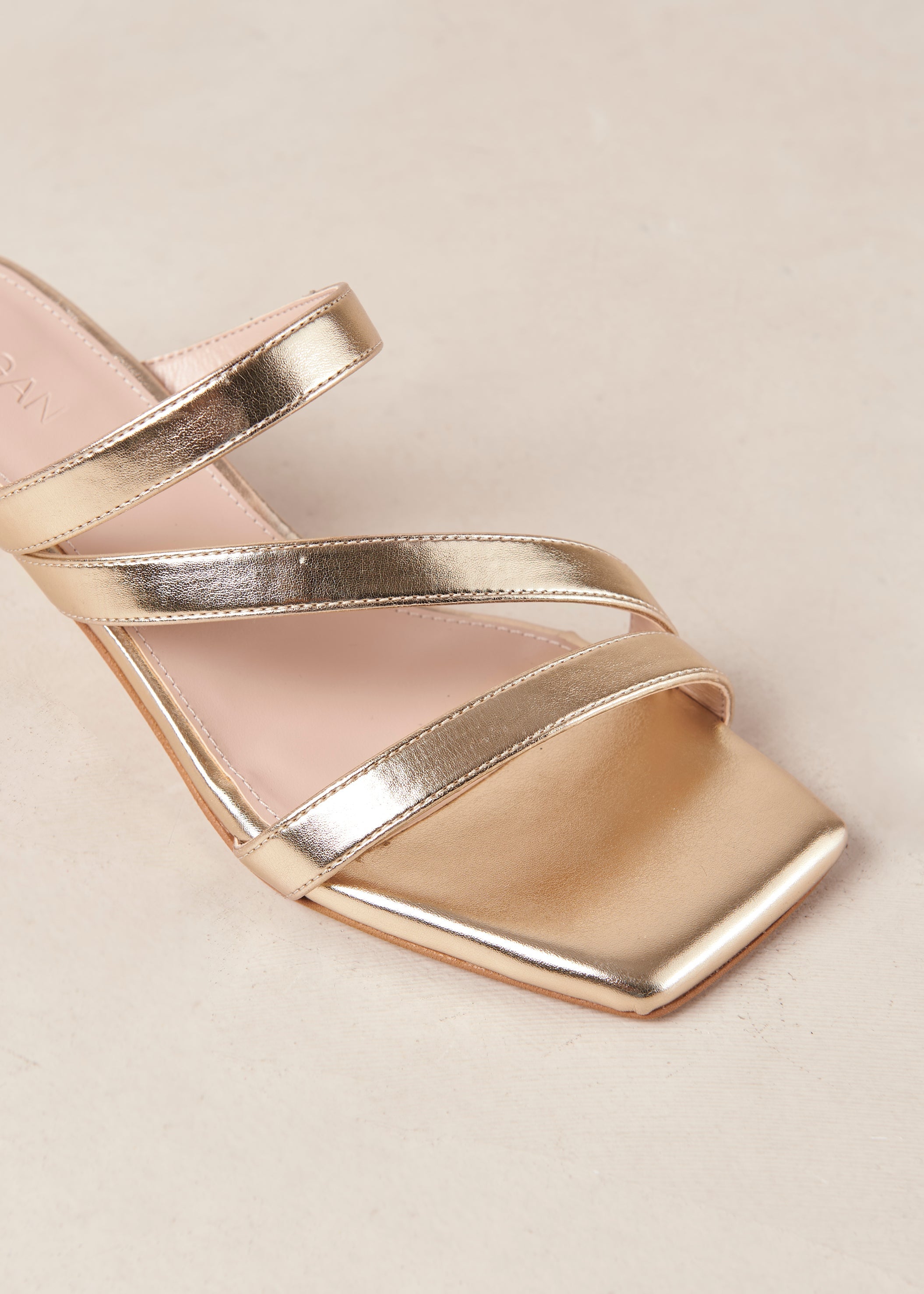 Stevie Heel
