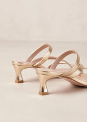 Stevie Heel