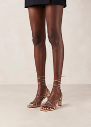 Pattie Heel