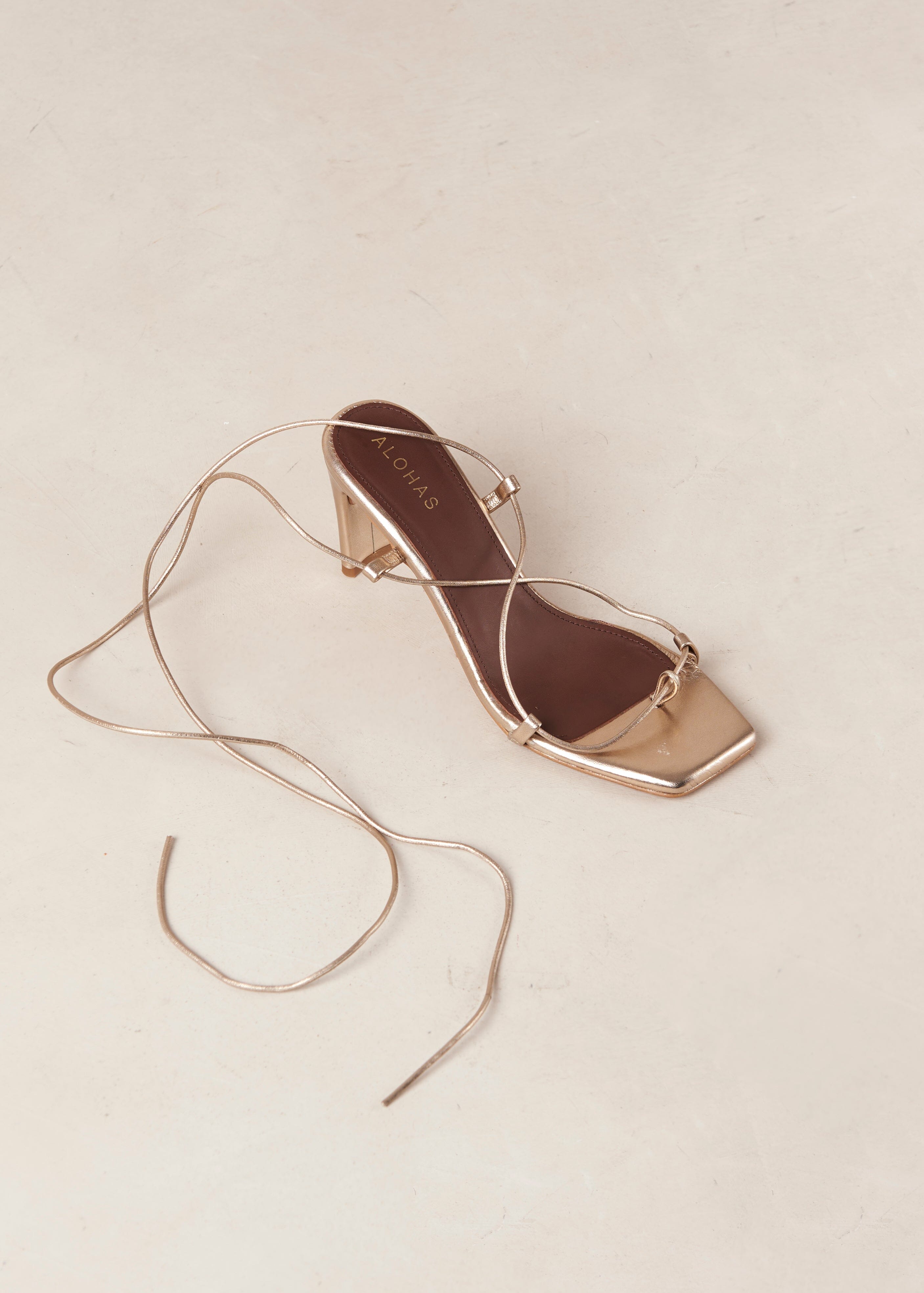 Pattie Heel