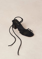 Annie Heel