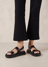 Lori Sandal