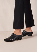 Lora Mules