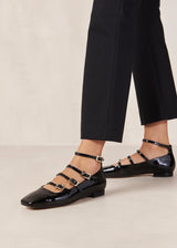 Lucia Flat